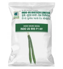 RidgeGourd / Turai F1 Indo US 999 - 50 grams